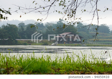 Swamp landscape 94850410