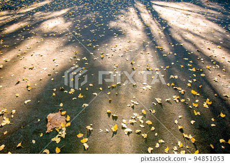 這是橫濱市兒童公園的秋景。 這是橫濱市兒童公園的秋景。 94851053