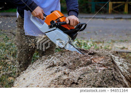 During a hurricane storm, a worker is working with a chainsaw and sawing falling trees onto the asphalt 94851164
