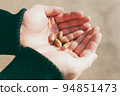 Acorns, a symbol of autumn, collected in the palm of your hand 94851473