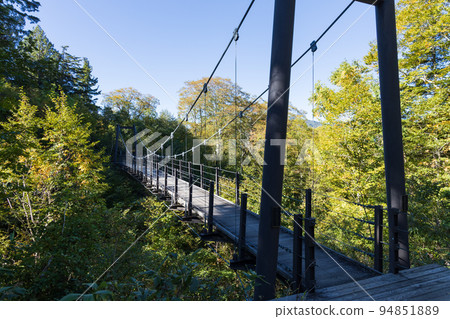 Hiuchiura Bridge (Autumn) 94851889