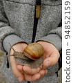 A snail in the hands of a child 94852159