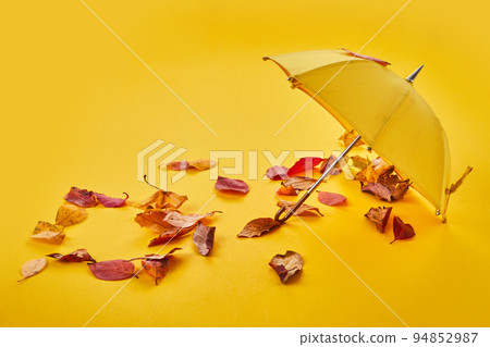 Yellow umbrella on the ground by the air and autumn leaves. 94852987