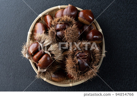 Chestnut  94854766