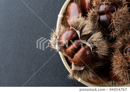 Chestnut  94854767