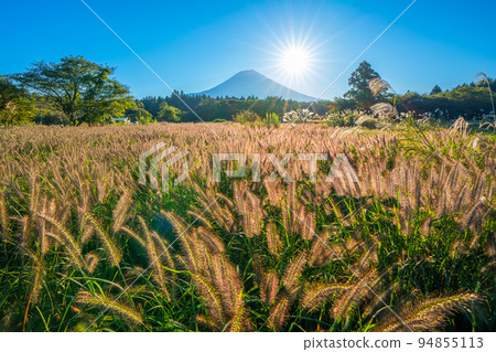Mount Fuji and cat teaser (Chikarashiba) 94855113