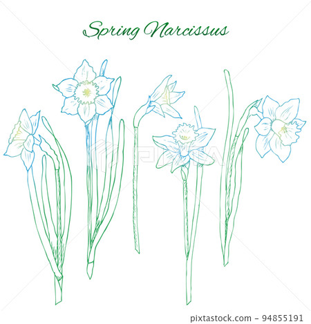 Colorful Hand Drawn Flowers Concept Colorful Hand Drawn Flowers Concept 94855191