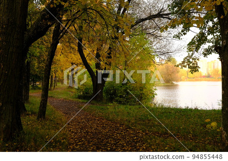 Colorful trees with pathway in autumn landscape in deep forest. The autumn colors in the forest create a magnificent view. autumn view in nature. Colorful trees with pathway in autumn landscape in deep forest. The autumn colors in the forest create a magnificent view. autumn view in nature. 94855448
