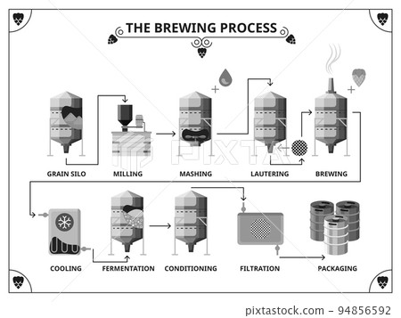 Brewery production process vector infographics template 94856592