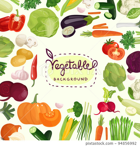Colorful Vegetables Background Colorful Vegetables Background 94856992