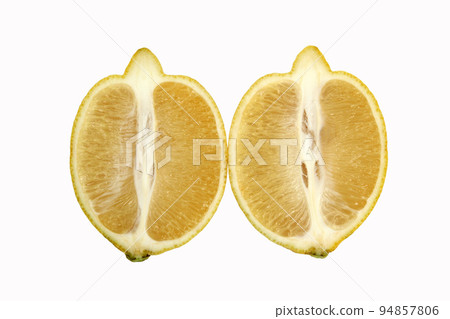 cut along the two halves of lemon 94857806