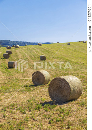 bales of hay on field, Czech Republic bales of hay on field, Czech Republic 94857994
