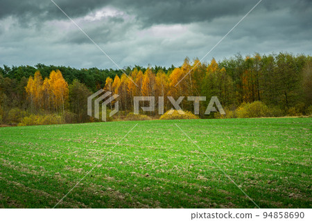 Cloudy sky over the autumn forest and a winter field 94858690