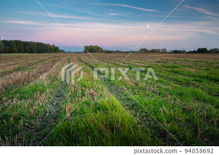 A beautiful evening view of a mowed agricultural field 94858692