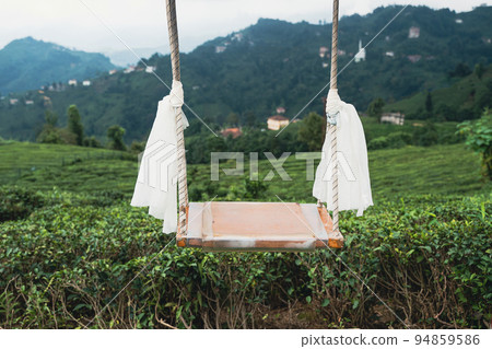 swing with white scarfs in front of rows of Turkish black tea plantations in Cayeli area  94859586