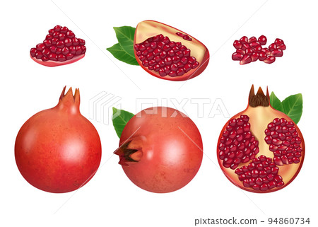 Pomegranate. Pieces of red fruits natural healthy products decent vector realistic botanical illustrations set isolated 94860734