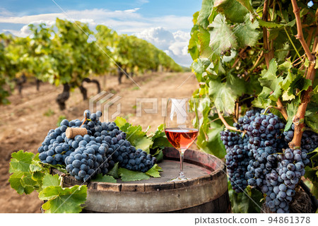 Goblet of rose wine over the barrel in a vineyard. Agriculture. 94861378