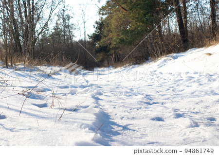 Road cut snow-covered frosty forest with pine trees. Beautiful winter landscape, wild nature. Road cut snow-covered frosty forest with pine trees. Beautiful winter landscape, wild nature. 94861749