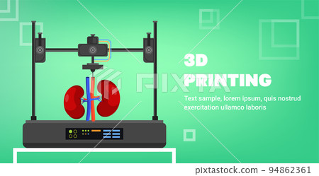 kidneys model prints on 3d bio printer medical printing of human transplantation organ biological engineering bioprinting 94862361