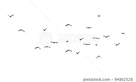 A flock of flying birds. Free birds. Vector illustration A flock of flying birds. Free birds. Vector illustration 94862528