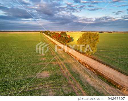 Fall colors maple trees, dirt road, agriculture fields. Autumn rural landscape. September sunny morning. Clouds on sky 94862807