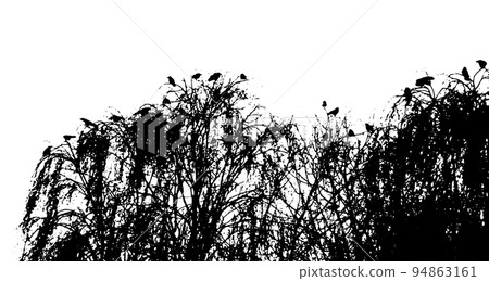 birchwood . Silhouette of a birch grove. Vector illustration 94863161