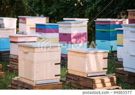 Rural apiary. Bee hives. Apiculture village. Colorful wooden beekeeping colony in sunny daylight garden outdoor. 94863577