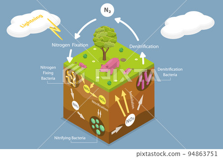 3D Isometric Flat Vector Conceptual Illustration of Nitrogen Cycle 94863751