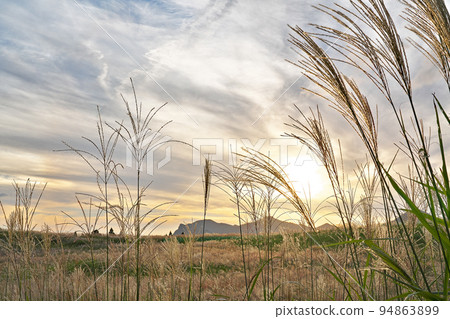 [Soni Plateau (Evening)] Taroji, Soni Village, Uda District, Nara Prefecture 94863899