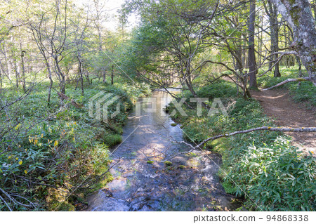 高德湖附近的坂川(日光國立公園) 高德湖附近的坂川(日光國立公園) 94868338