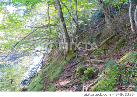 沿著切里科米湖和加里科米湖(日光國立公園)的徒步旅行路線 沿著切里科米湖和加里科米湖(日光國立公園)的徒步旅行路線 94868356