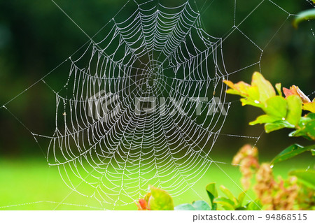 精美拉伸的幾何圖案蜘蛛網 94868515