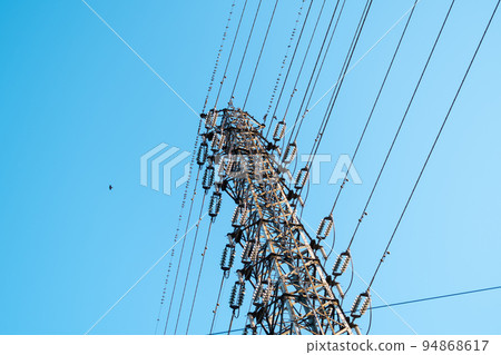 A flock of starlings resting on a high-voltage line, a power transmission tower, and a blue sky Light tone 94868617