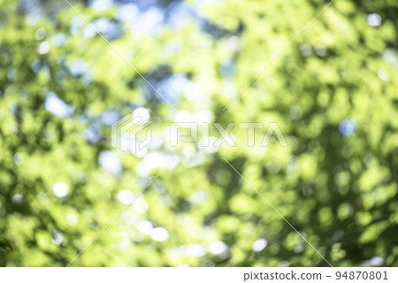 Blur background green park garden nature bright sunny forest. Blurry outdoor park in spring time glowing shinny day template with sunlight bokeh. Abstract blurred background banner copy space. 94870801