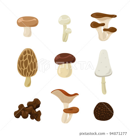 蘑菇套裝 2 94871277