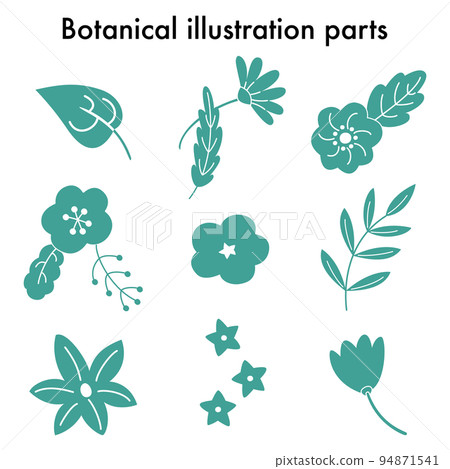 植物花卉插圖集 植物花卉插圖集 94871541