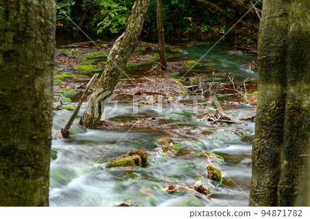 Chokai marimo grows in Shishigahana wetland clear stream, Akita Prefecture Chokai marimo grows in Shishigahana wetland clear stream, Akita Prefecture 94871782