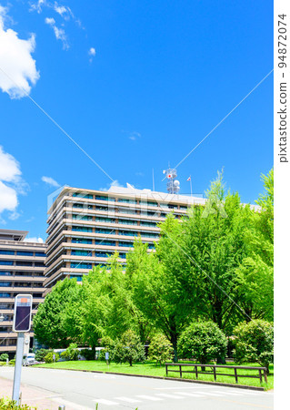 美麗的綠色廣場風景“縣廳前的銀杏樹風景”熊本縣廳 94872074