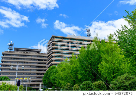 Beautiful green square scenery "Prefectural office and ginkgo tree scenery" Kumamoto prefectural office 94872075
