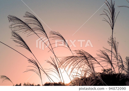 日落和Susuki 94872090