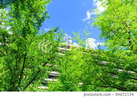 Beautiful green square scenery "Landscape in front of the prefectural office" Kumamoto prefectural office 94872134
