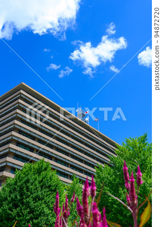 Beautiful green square scenery "Prefectural office scenery" Kumamoto prefectural office 94872720
