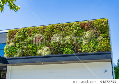 Wall greening  Wall greening  94872753