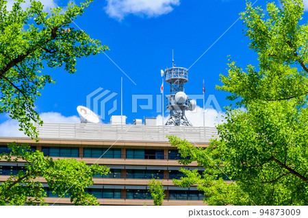 Beautiful green square scenery "Ginkgo tree scenery in front of the prefectural office" Kumamoto Prefectural Office 94873009