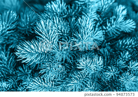 Close Up Of Pine Tree. Christmas tree branches. Fluffy fir tree brunch close up. Border of fir branches in nature with soft focus and sun glare. Copy space. background of Christmas tree 94873573