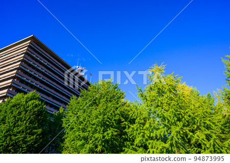Beautiful Sky and Building Scenery "Prefectural Office Landscape" Kumamoto Prefectural Office 94873995