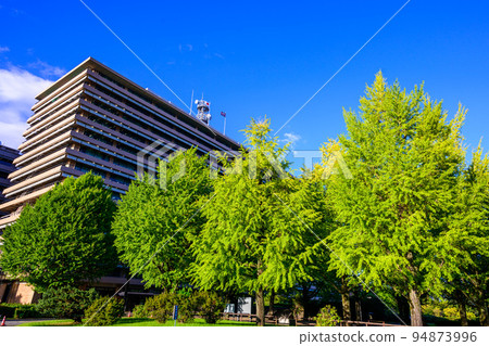 Beautiful Sky and Building Scenery "Prefectural Office Landscape" Kumamoto Prefectural Office 94873996