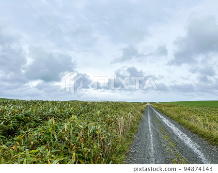 通往北海道地平線的道路 94874143