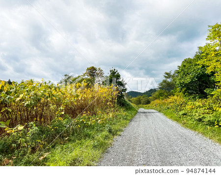 北海道函岳超級林道 94874144