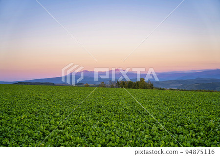 Daisetsuzan mountain range Asahidake at dusk seen from Shujitsu-no-Oka, Asahikawa, Hokkaido 94875116